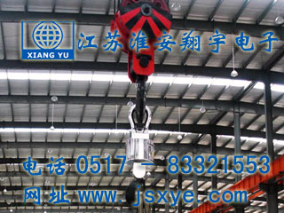 安徽新顯通無(wú)線(xiàn)儀表控制電子吊秤 - 江蘇淮安翔宇電子吊秤廠家案例