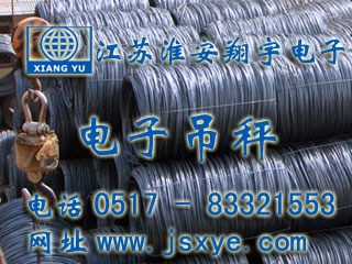 中富國際電子吊秤無線式 - 電子吊秤廠家江蘇淮安翔宇電子吊秤案