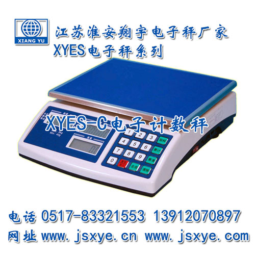 計數(shù)秤,計數(shù)秤廠家,江蘇計數(shù)秤,淮安計數(shù)秤,電子秤,電子秤廠家,XYES
