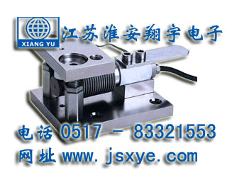 XYWS-CPM稱重模塊